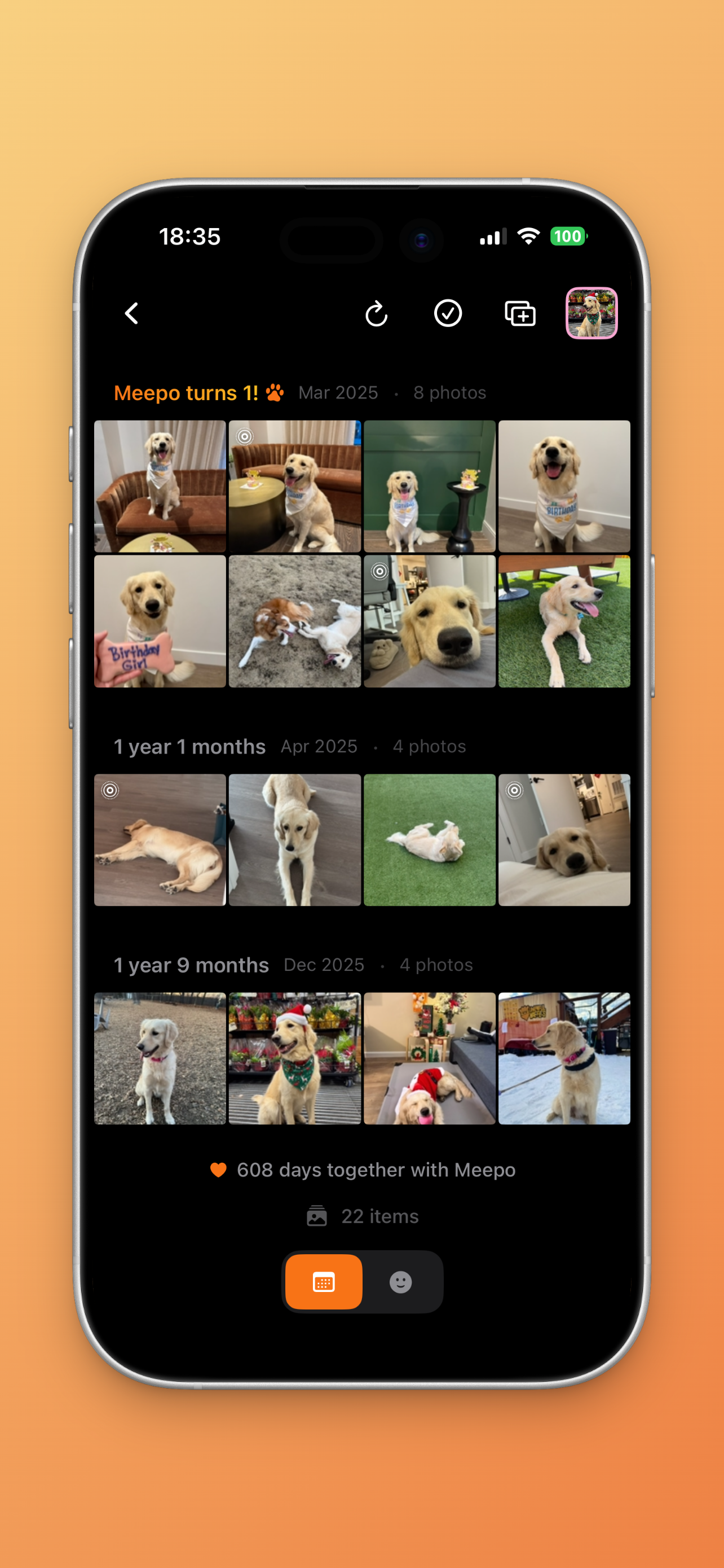 Pawly Timeline Gallery